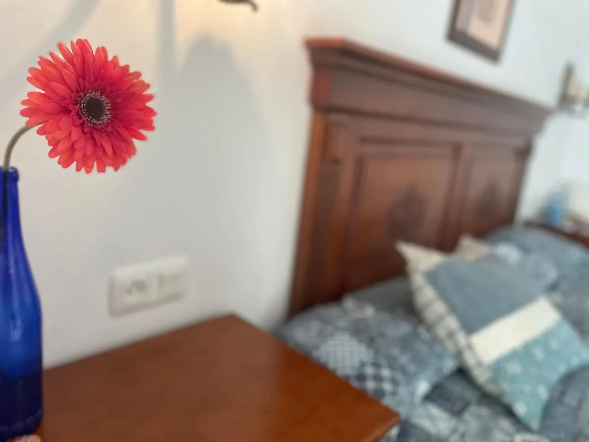 Hostal Dianes Nerja España